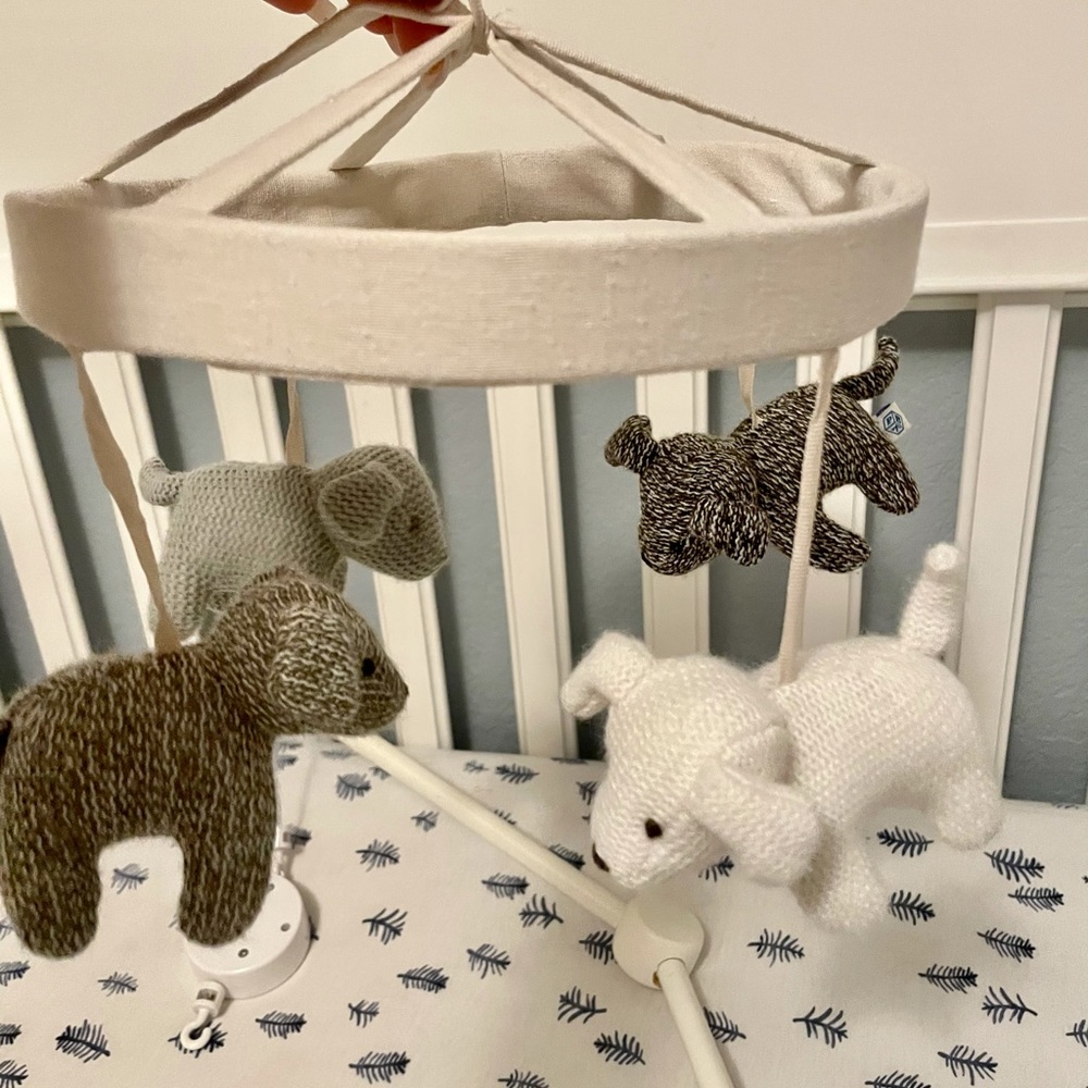 Pottery Barn baby dog musical crib mobile and arm